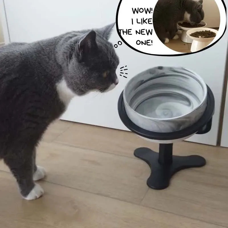 Adjustable Raised Pet Bowl - Tilted Black Dog & Cat Feeder with Elevated Stand