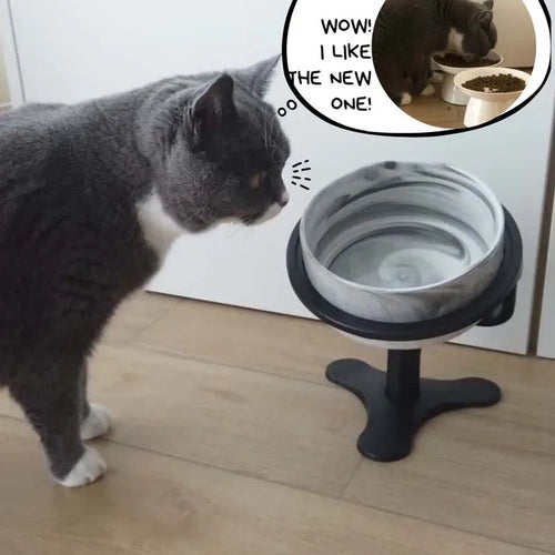 Adjustable Raised Pet Bowl - Tilted Black Dog & Cat Feeder with Elevated Stand