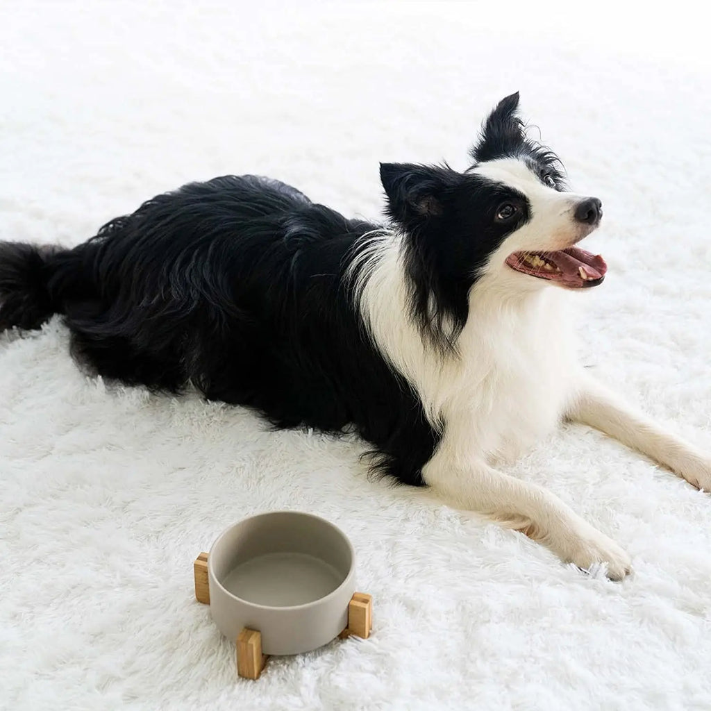 Weighted Ceramic Pet Bowl Set with Wooden Stand - Elevated Cat & Dog Food and Water Bowls