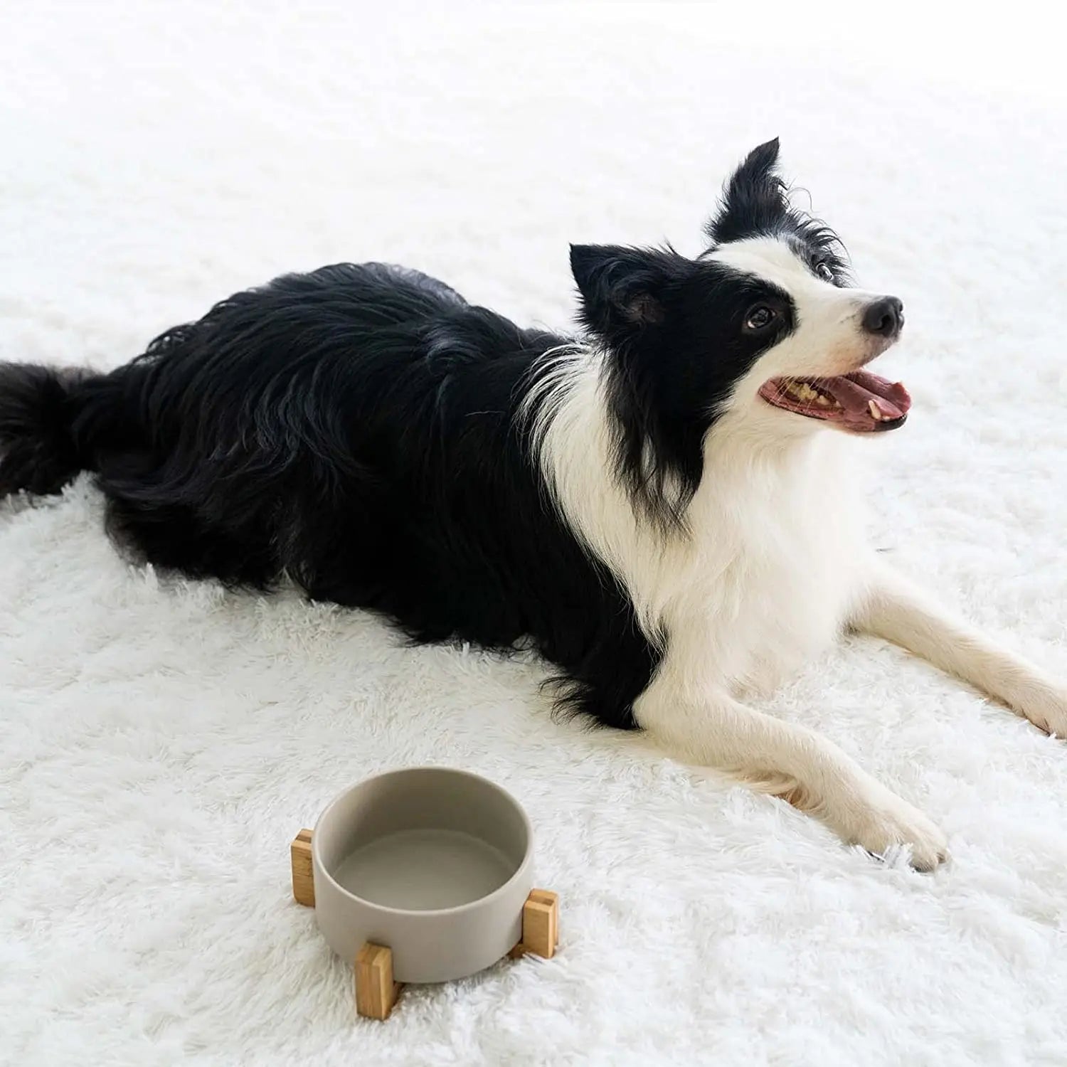 Weighted Ceramic Pet Bowl Set with Wooden Stand - Elevated Cat & Dog Food and Water Bowls