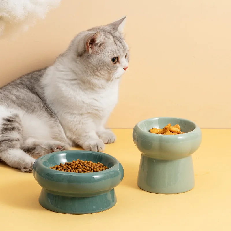 Elevated Ceramic Pet Bowl - Tilted Wide Opening Dog & Cat Bowl for Neck Protection