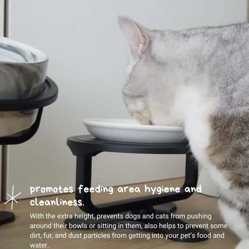 Adjustable Raised Pet Bowl - Tilted Black Dog & Cat Feeder with Elevated Stand