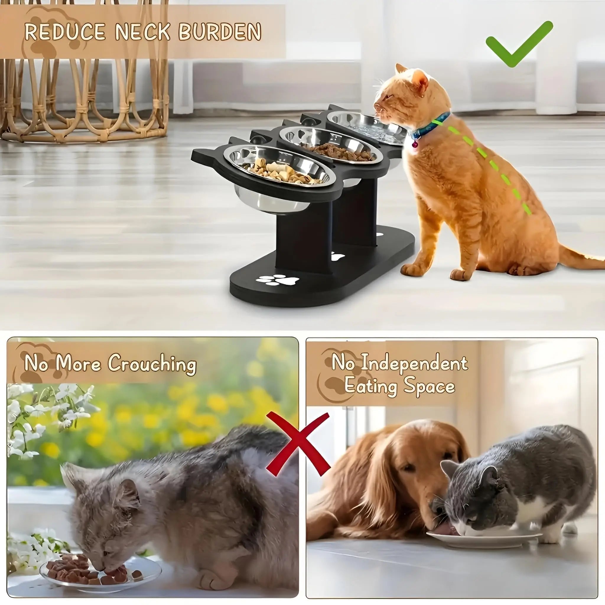 15° Tilted Elevated Stainless Steel Cat Bowls with Black Wooden Stand - Raised Pet Feeder Set