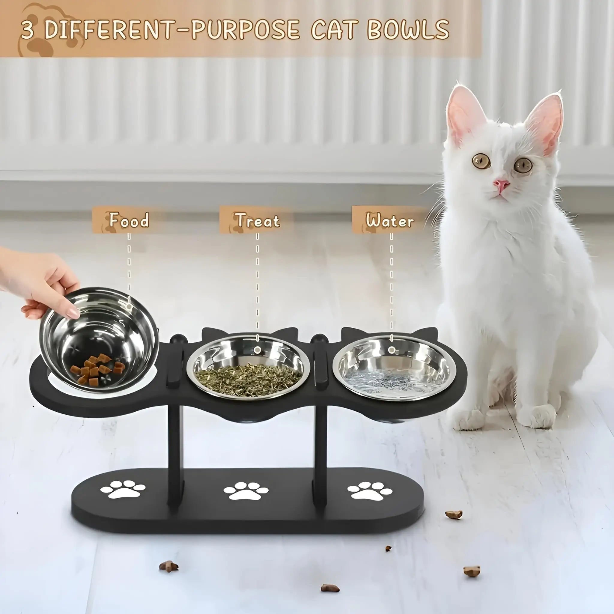 15° Tilted Elevated Stainless Steel Cat Bowls with Black Wooden Stand - Raised Pet Feeder Set