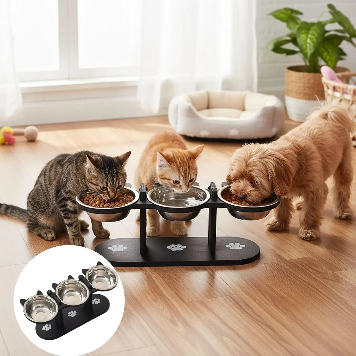 15° Tilted Elevated Stainless Steel Cat Bowls with Black Wooden Stand - Raised Pet Feeder Set